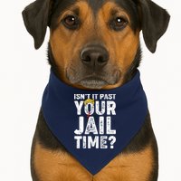 Isnt It Past Your Jail Time Anti Trump USA-Made Doggie Bandana
