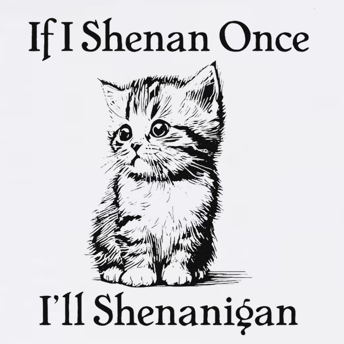 If I Shenan Once ILl Shenanigan Flat Bill Trucker Hat