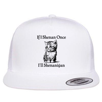 If I Shenan Once I'll Shenanigan Cute Cat St Patricks Day  Flat Bill Trucker Hat
