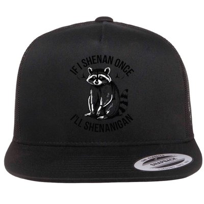 If I Shenan Once I'Ll Shenanigan St Patricks Day Raccoon Pet Flat Bill Trucker Hat