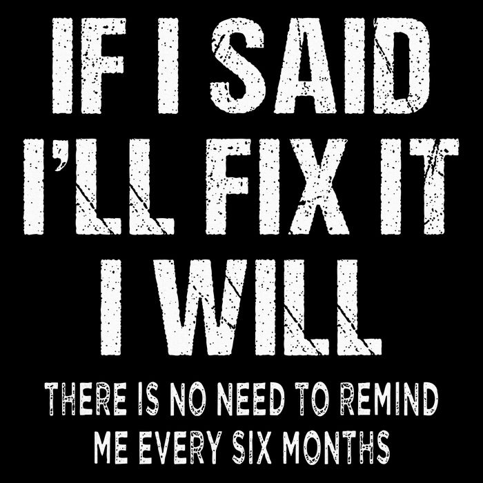 If I Said ILl Fix I Will There Is No Need To Remind Me Fun Poster