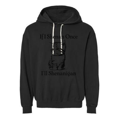 If I Shenan Once ILl Shenanigan Cute Cat St Patricks Day Garment-Dyed Fleece Hoodie