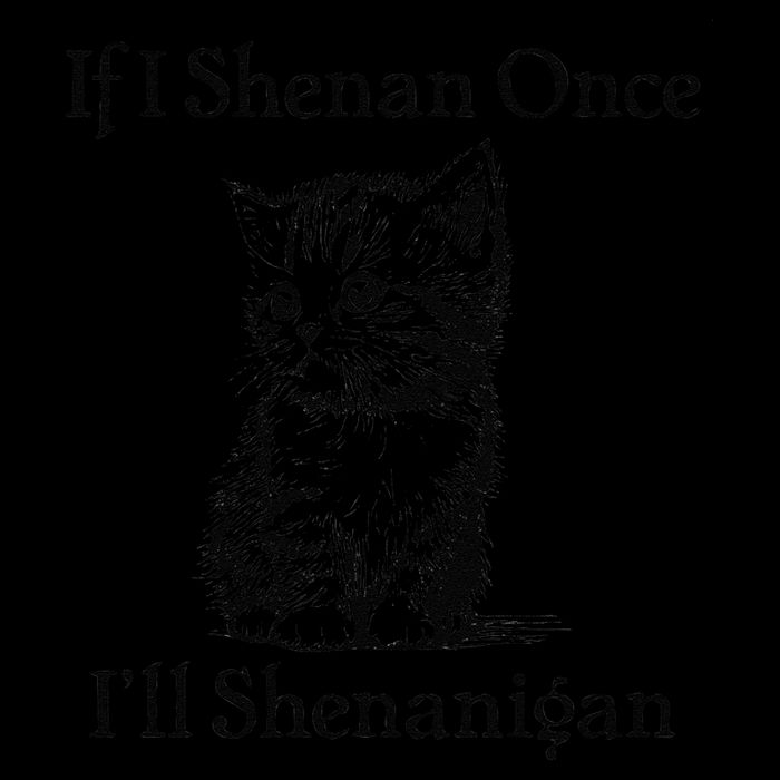 If I Shenan Once ILl Shenanigan Cute Cat St Patricks Day 16 in Basic Backpack