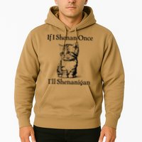 If I Shenan Once ILl Shenanigan Cute Cat St Patricks Day Hoodie