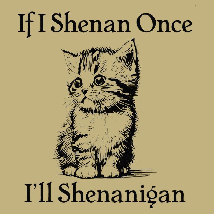 If I Shenan Once ILl Shenanigan Cute Cat St Patricks Day Hoodie