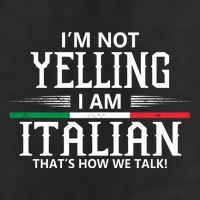 Italian 7 Panel Mesh Trucker Snapback Hat
