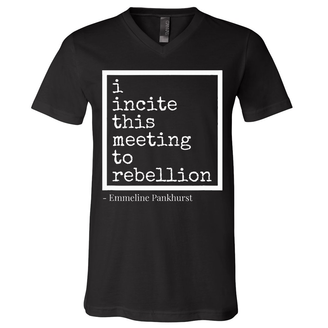 I Incite This Meeting To Rebellion V-Neck T-Shirt