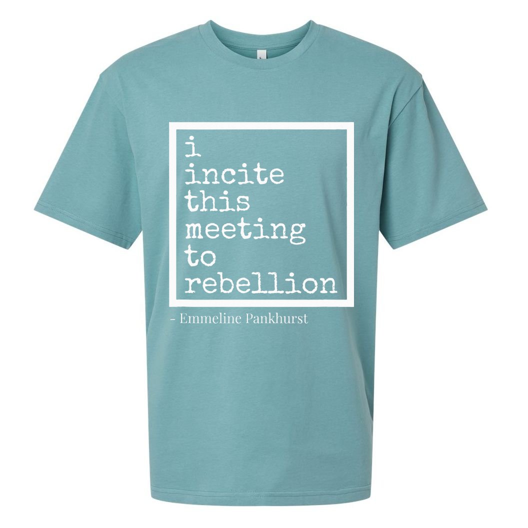 I Incite This Meeting To Rebellion Sueded Cloud Jersey T-Shirt