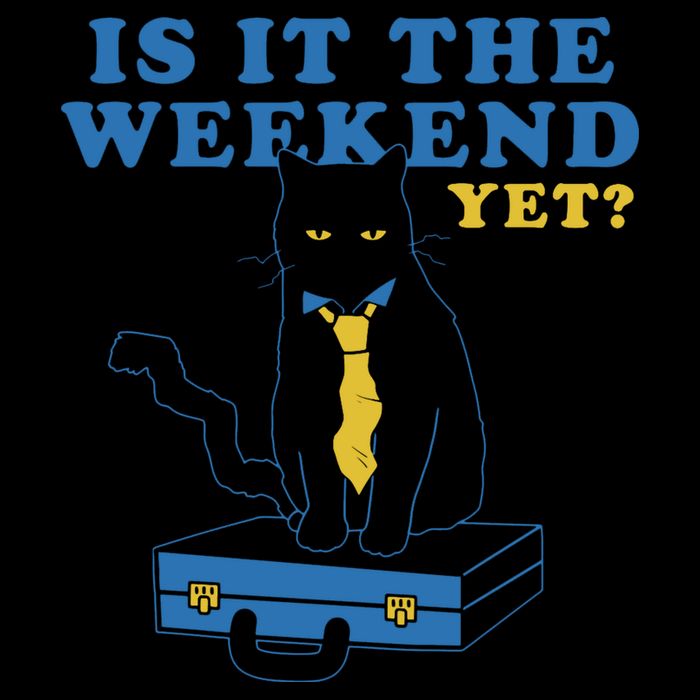 Is It The Weekend Yet Funny Cat Mug