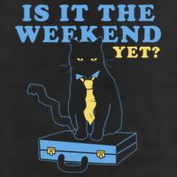 Is It The Weekend Yet Funny Cat Tumbler