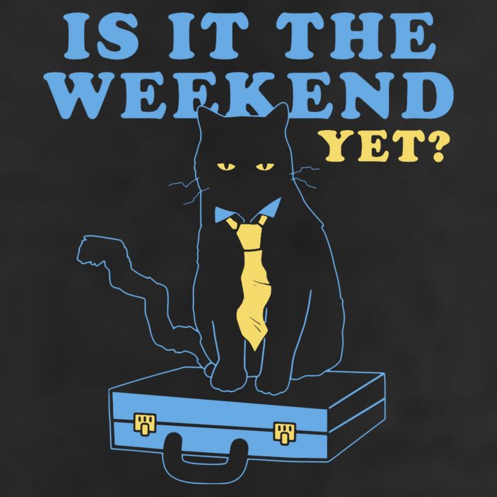 Is It The Weekend Yet Funny Cat Tumbler