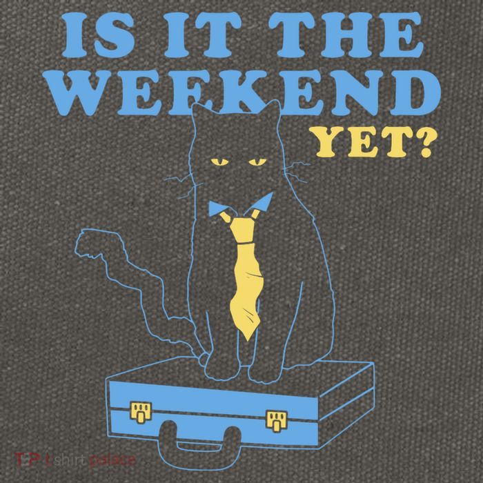 Is It The Weekend Yet Funny Cat Cotton Canvas Backpack
