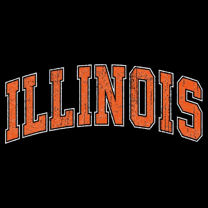 Illinois Il Vintage Athletic Sports Design Style Hoodie