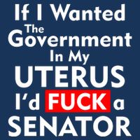 If I Wanted The Government In My Uterus I'd F A Senator Pro Choice Infant Baby Jersey Bodysuit