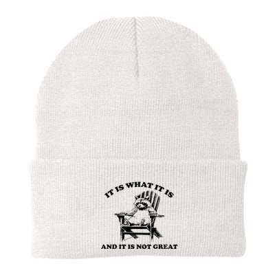 It Is What It Is And It Is Not Great Raccoon Knit Cap Winter Beanie