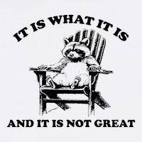 It Is What It Is And It Is Not Great Raccoon Trucker Hat