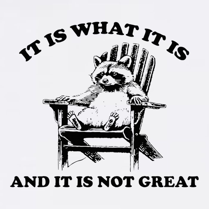 It Is What It Is And It Is Not Great Raccoon Trucker Hat