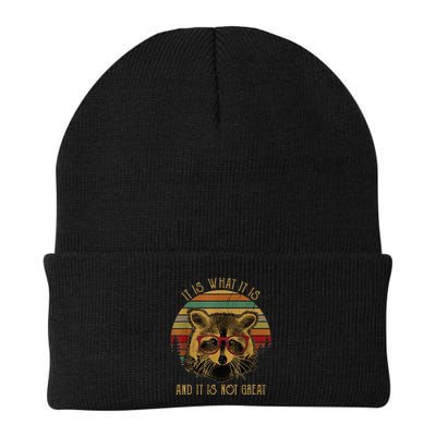 It Is What It Is And It Is Not Great Knit Cap Winter Beanie