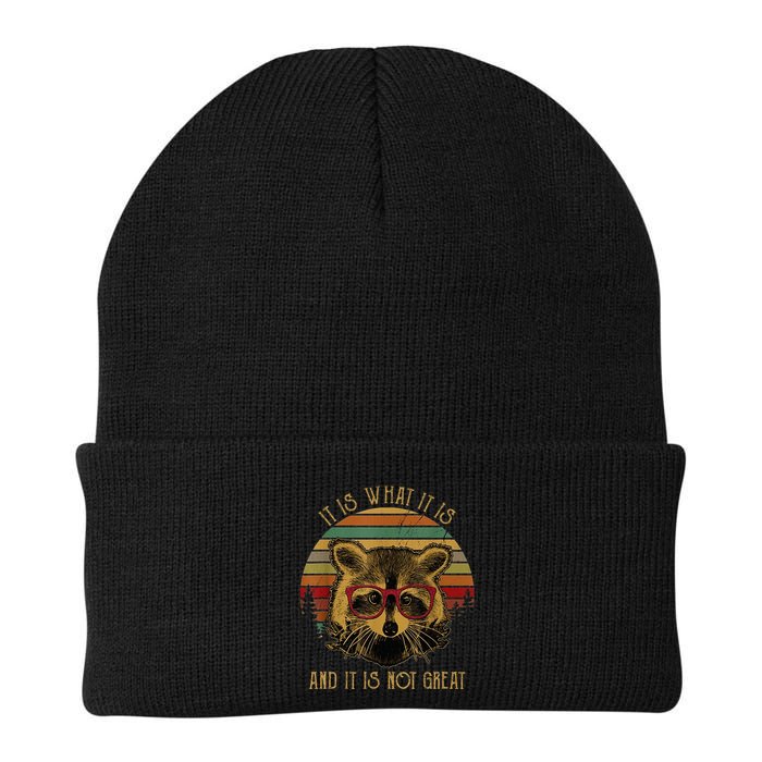 It Is What It Is And It Is Not Great Knit Cap Winter Beanie