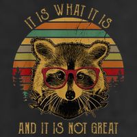 It Is What It Is And It Is Not Great Knit Cap Winter Beanie