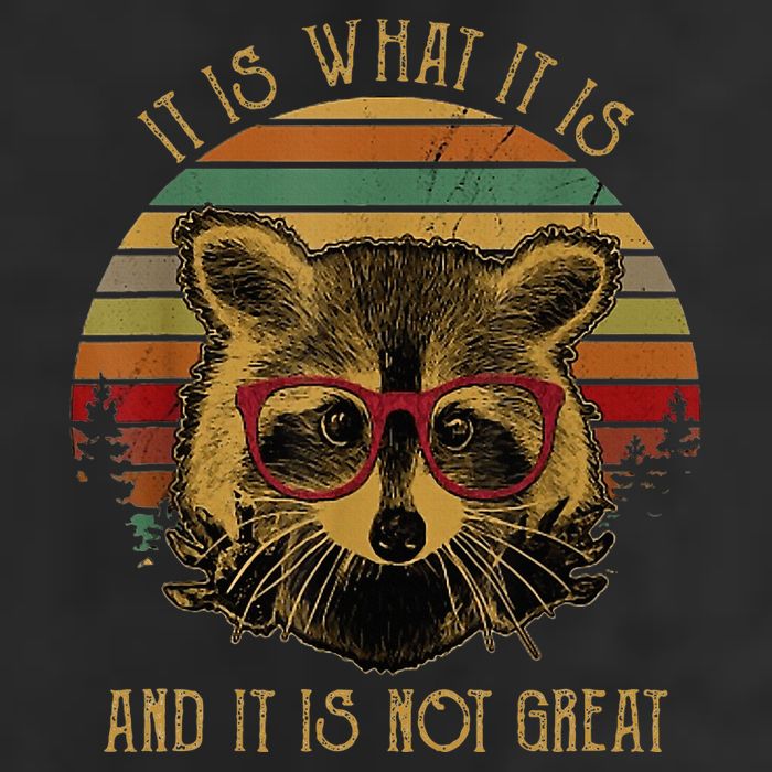 It Is What It Is And It Is Not Great Knit Cap Winter Beanie