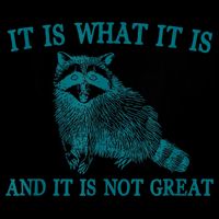 It Is What It Is And It Is Not Great Raccoon 16 in Basic Backpack
