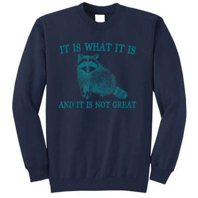 It Is What It Is And It Is Not Great Raccoon Tall Sweatshirt