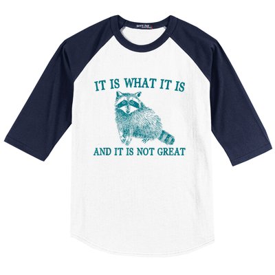 It Is What It Is And It Is Not Great Raccoon Baseball Sleeve Shirt