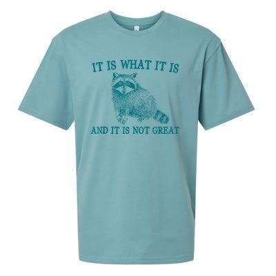 It Is What It Is And It Is Not Great Raccoon Sueded Cloud Jersey T-Shirt