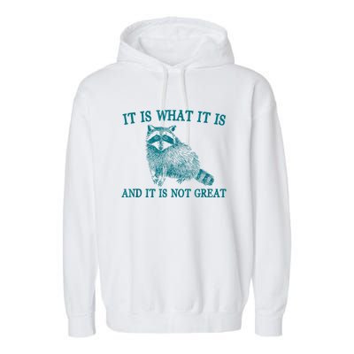 It Is What It Is And It Is Not Great Raccoon Garment-Dyed Fleece Hoodie