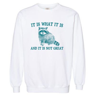 It Is What It Is And It Is Not Great Raccoon Garment-Dyed Sweatshirt