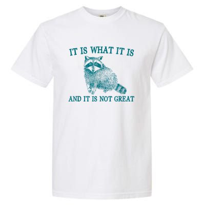 It Is What It Is And It Is Not Great Raccoon Garment-Dyed Heavyweight T-Shirt