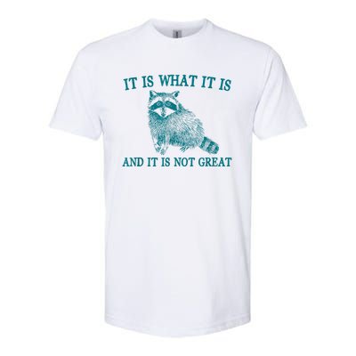 It Is What It Is And It Is Not Great Raccoon Softstyle CVC T-Shirt