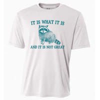 It Is What It Is And It Is Not Great Raccoon Cooling Performance Crew T-Shirt