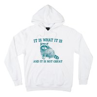 It Is What It Is And It Is Not Great Raccoon Hoodie