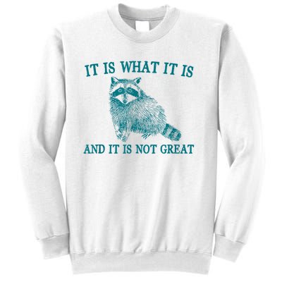 It Is What It Is And It Is Not Great Raccoon Sweatshirt