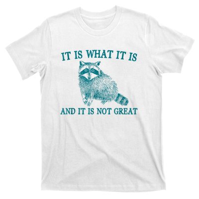 It Is What It Is And It Is Not Great Raccoon T-Shirt