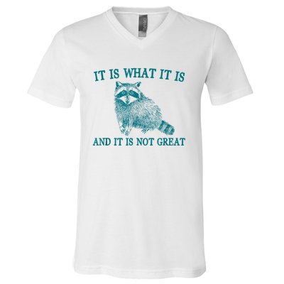 It Is What It Is And It Is Not Great Raccoon V-Neck T-Shirt