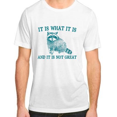 It Is What It Is And It Is Not Great Raccoon Adult ChromaSoft Performance T-Shirt