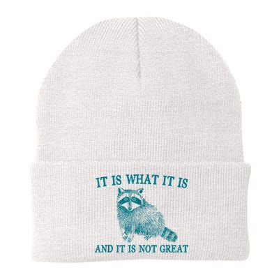 It Is What It Is And It Is Not Great Raccoon Knit Cap Winter Beanie
