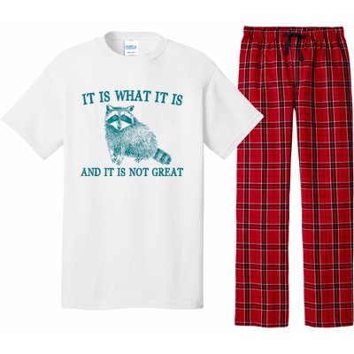 It Is What It Is And It Is Not Great Raccoon Pajama Set