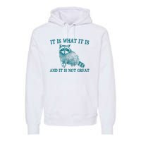 It Is What It Is And It Is Not Great Raccoon Premium Hoodie