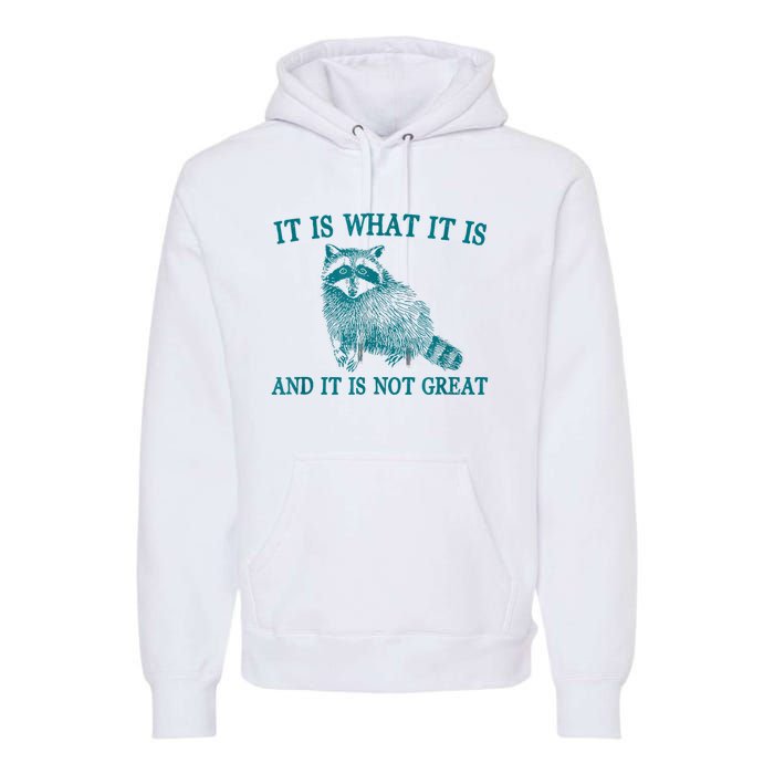 It Is What It Is And It Is Not Great Raccoon Premium Hoodie