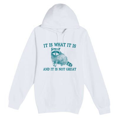 It Is What It Is And It Is Not Great Raccoon Premium Pullover Hoodie