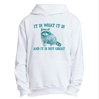 It Is What It Is And It Is Not Great Raccoon Urban Pullover Hoodie