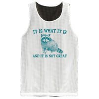 It Is What It Is And It Is Not Great Raccoon Mesh Reversible Basketball Jersey Tank