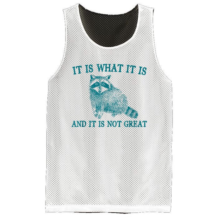 It Is What It Is And It Is Not Great Raccoon Mesh Reversible Basketball Jersey Tank