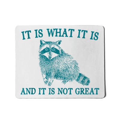 It Is What It Is And It Is Not Great Raccoon Mousepad