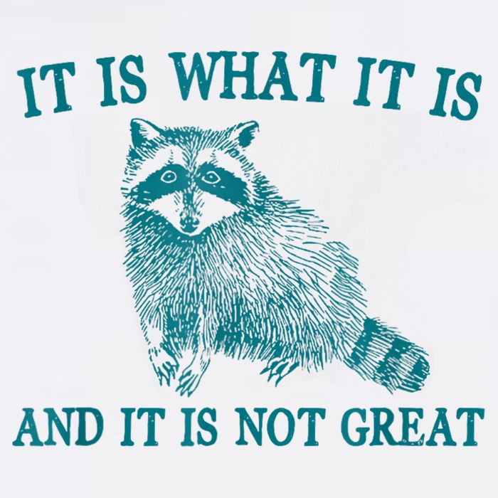 It Is What It Is And It Is Not Great Raccoon Mousepad
