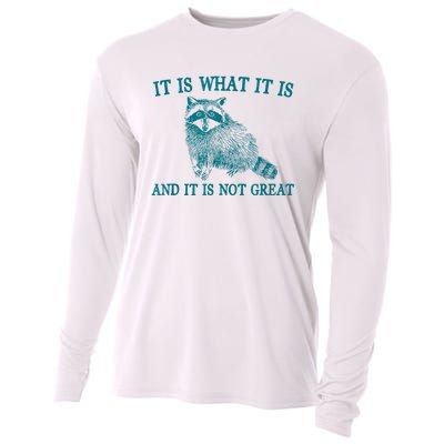 It Is What It Is And It Is Not Great Raccoon Cooling Performance Long Sleeve Crew